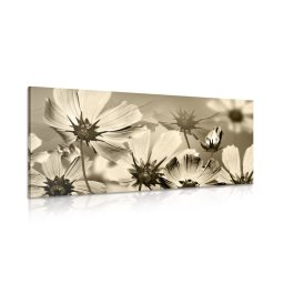 Kép kerti virágok szépia kivitelben