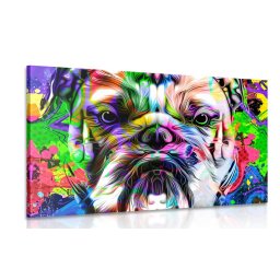 Kép pop art francia bulldog