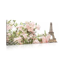 Kép Eiffel torony és rózsaszínű virágok