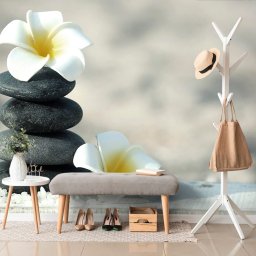 Fotótapéta harmonikus kövek és plumeria virág