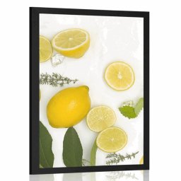 Poszter citrusfélék keveréke