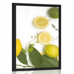 Poszter citrusfélék keveréke