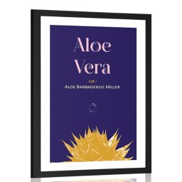 Poszter paszportuval Aloe Vera felirattal