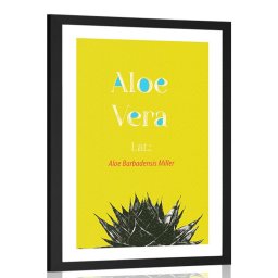 Poszter paszportuval csodás Aloe Vera