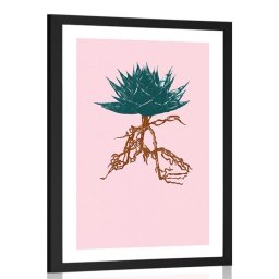 Poszter paszportuval egyedi Aloe Vera