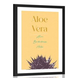 Poszter paszportuval stílusos felirattal Aloe Vera