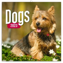 Falinaptár képes 300x300mm, (Dogs) Realsystem 2023.