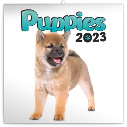Falinaptár képes 300x300mm, (Puppies) Realsystem 2023.