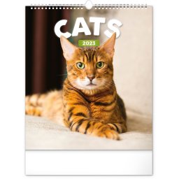 Falinaptár képes 300x340mm, (Cats) Realsystem 2023.