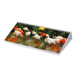 Asztali naptár fehér lapokkal 320 × 150 mm Természet világa fekvő karton hátlappal Dayliner 2024.