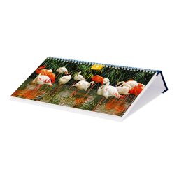 Asztali naptár fehér lapokkal 320 × 150 mm Természet világa fekvő műbör hátlappal kék Dayliner 2024.