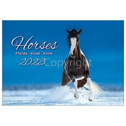 Falinaptár képes 450 × 315 mm Horses Dayliner 2024.