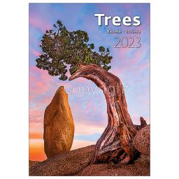 Falinaptár képes 315 × 450 mm Trees Dayliner 2024.