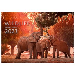 Falinaptár képes 485 × 340 mm Wildlife Dayliner 2023.