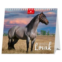 Asztali naptár fehér lapokkal 150 × 130 mm Lovak álló Dayliner 2024.