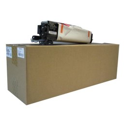 Ricoh D117-0121 - eredeti optikai egység, black (fekete)