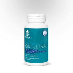 WTN Q10 ultra 60 db