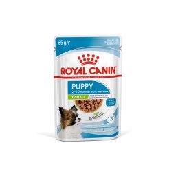 ROYAL CANIN X-SMALL PUPPY - nagyon kistestű kölyök kutya nedves eledel 12 x 85 g
