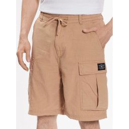 DC Szövet rövidnadrág Tundra ADYWS03068 Bézs Regular Fit