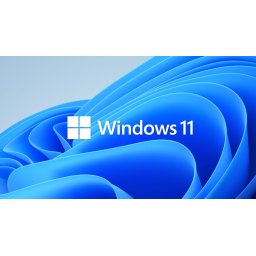 Microsoft Windows 11 Pro 64Bit HUN DVD FQC-10537