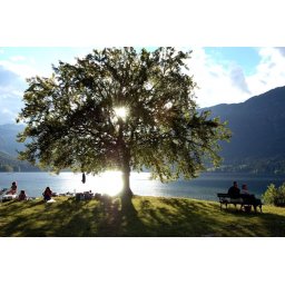 3 nap / 2 éjszaka 2 fő részére reggelivel, wellness-szel a Bohinji-tó közelében - Bohinj Eco Hotel****