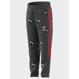 adidas Melegítő alsó IB4850 Szürke Regular Fit