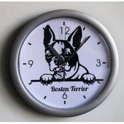 Boston terrier falióra