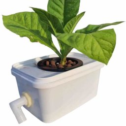 10db Diy 3,3l-es Vödrös Szett 100mm-es Kosárral Kifolyóval(4962)