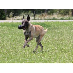 KONG Extreme jutalomfalattal tölthető S 7,6 cm kutyajáték