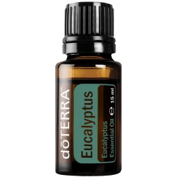 Eucalyptus – Eukaplitusz illóolaj 15 ml - doTERRA