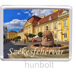 Székesfehérvár Városház tér hűtőmágnes (műanyag keretes)