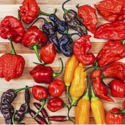 Liofilizált Fagyasztva Szárított Brutál Chilli Mix 20g (5008)