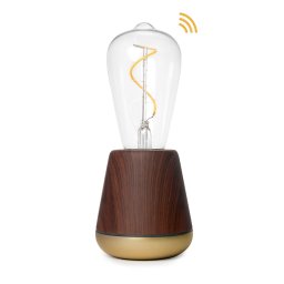 LED lámpa , asztali , hordozható , prémium, SMART , E27 , PET , mogyoró, arany , IP65 , HUMBLE