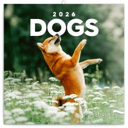 Falinaptár képes lemeznaptár 300x300mm, Dogs Realsystem 2027.