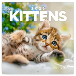 Falinaptár képes lemeznaptár 300x300mm, Kittens Realsystem 2027.