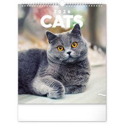 Falinaptár képes 300x340mm Cats Realsystem 2026.