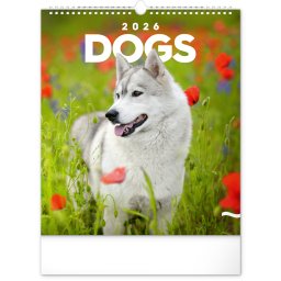 Falinaptár képes 300x340mm Dogs Realsystem 2026.