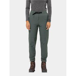 Jack Wolfskin Kültéri nadrág Wandermood Pants 1508441 Zöld Regular Fit