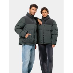 Jack Wolfskin Pehelykabát Dellbrueck Jkt 1207561 Zöld Regular Fit