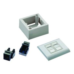 DATACOM UTP 2xRJ45 aljzat Cat6 (süllyesztett és vakolat feletti)