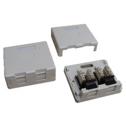 DATACOM UTP 2xRJ45 aljzat CAT6 vakolathoz (porálló)