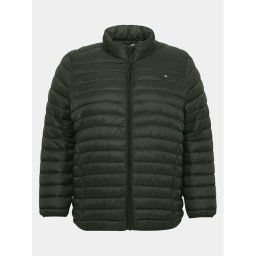 Blend Pehelykabát 20712461 Zöld Regular Fit