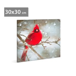 LED-es fali kép - vörös pinty - 30 x 30 cm