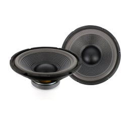 Carguard Hangszóró - HSP 005 - 12" / 300 mm • 150 / 300 W