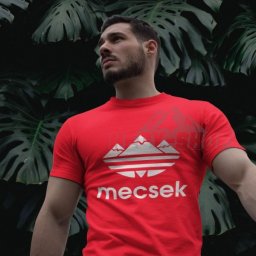 Mecsekcsúcs Póló