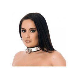 Collar with metal and padlock.