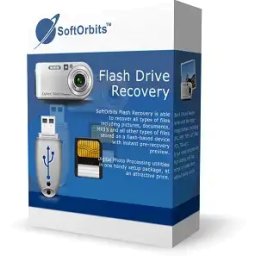 Flash Drive Recovery