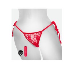 Remote Control Panty Vibe.