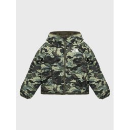 The North Face Pehelykabát Printed NF0A7WOP Zöld Regular Fit