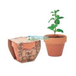 MINT POT kis terrakotta agyag cserép, menta magvakkal